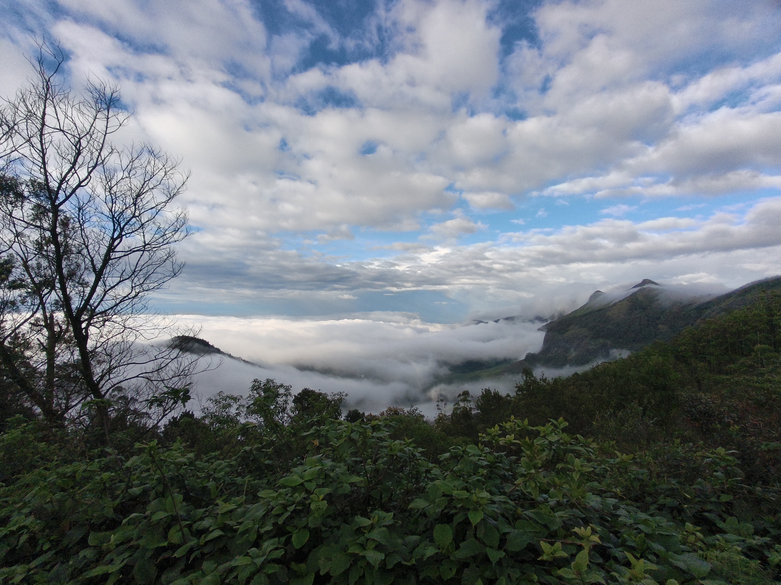 Kolukkumalai early morning blue hour sunrise with mountain silhouettes